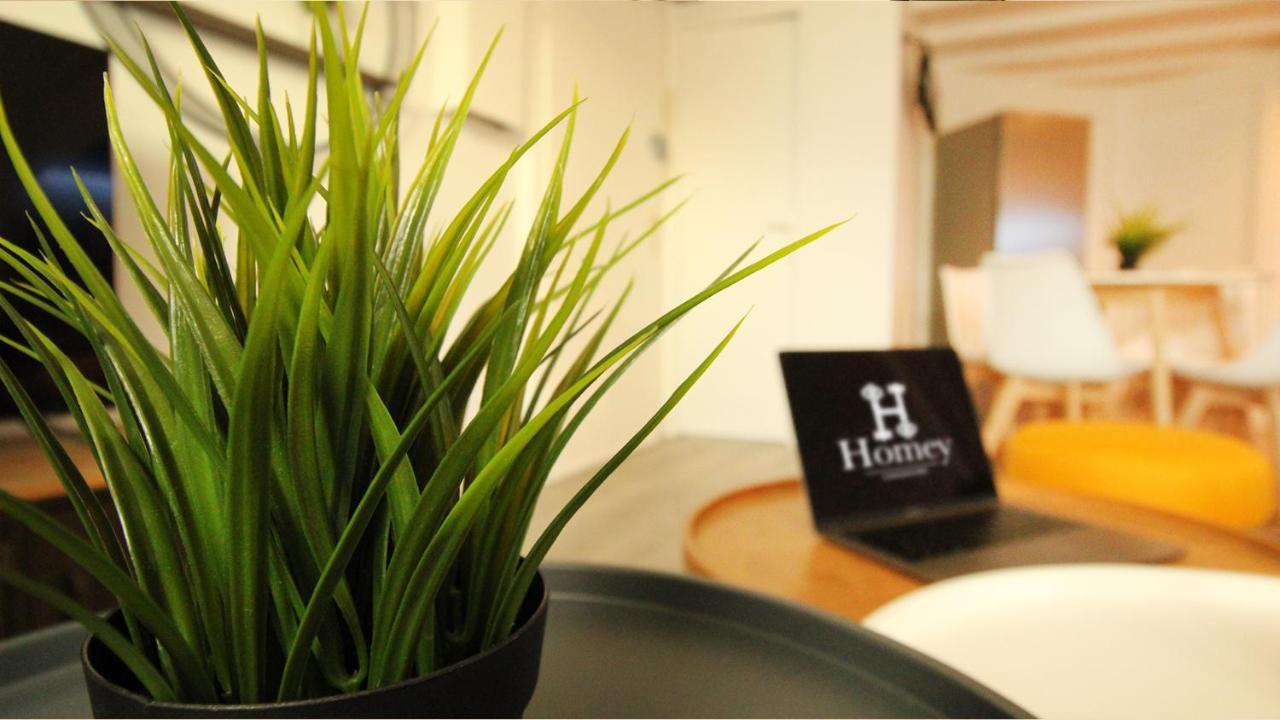 Homey Bella - New / Duplex / Downtown / Close Geneva Аннмасс Екстер'єр фото